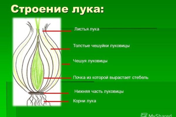Даркнет зеркало