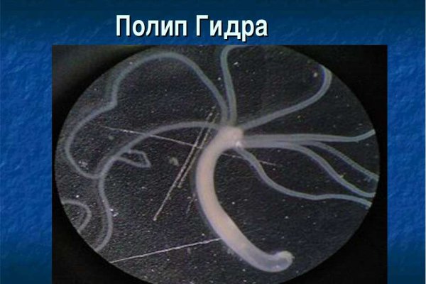 Кракен упал